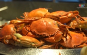 Food tour Thanh Hóa ngày 11/6/2026