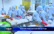 Bản tin Thời sự 16h ngày 11/6/2026