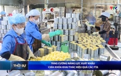 Bản tin Thời sự 9h ngày 12/6/2026