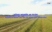 Phóng sự: Sản xuất nông nghiệp an toàn: Chìa khóa nâng cao giá trị nông sản