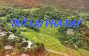 Ký sự miền sơn cước ngày 12/6/2026