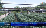 Bản tin Thời sự trưa 14/6/2026