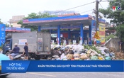 Hộp thư truyền hình ngày 15/6/2026