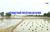 Khuyến nông 16/06/2026