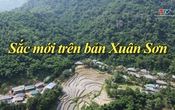 Ký sự miền sơn cước ngày 19/6/2026