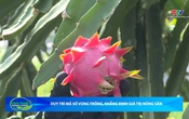 Bản tin Nông nghiệp - Nông thôn ngày 20/6/2026