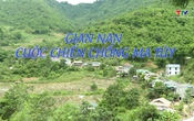 Hộp thư truyền hình ngày 22/6/2026