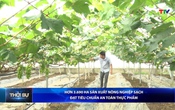 Bản tin Thời sự 9h ngày 25/06/2026