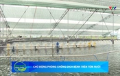 Bản tin Nông nghiệp – Nông thôn 03/06/2026