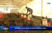 Bản tin Thời sự 16h ngày 30/6/2026