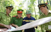 Alo 114 Thanh Hóa ngày 6/6/2026