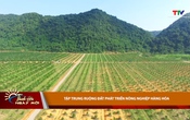 Thanh Hóa ngày mới ngày 02/7/2026