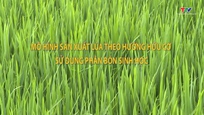 Khuyến nông 1/7/2025