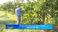 Bản tin Nông nghiệp – Nông thôn 20/9/2025
