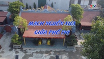 Ký sự: Mạch nguồn xưa giữa phố thị