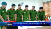 Bản tin Thời sự tối 25/4/2026