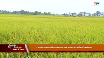 Thanh Hóa ngày mới 13/5/2026