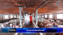 Bản tin Thời sự 9h ngày 13/5/2026