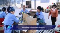 Bản tin Tài chính thị trường ngày 15/5/2026