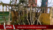Bản tin An ninh 02/05/2026