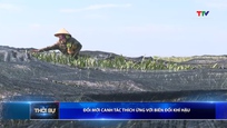 Bản tin Thời sự 9h ngày 23/5/2026
