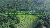 Ký sự miền sơn cước: Màu xanh trên non Phú Lệ