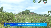 Bản tin Nông nghiệp - Nông thôn ngày 27/5/2026