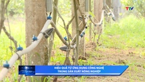 Khoa học và đời sống ngày 4/5/2026