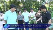 Bản tin Tài chính - Thị trường ngày 12/6/2026