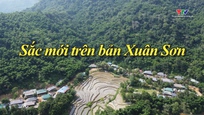 Ký sự miền sơn cước ngày 19/6/2026