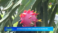 Bản tin Nông nghiệp - Nông thôn ngày 20/6/2026