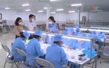 Khởi nghiệp từ nghề Yến sào