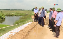 Phó Chủ tịch UBND tỉnh Lê Đức Giang kiểm tra sự cố sụt lún mái đê sông Mã