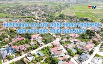 Đưa Nghị quyết vào cuộc sống: Hậu Lộc xây dựng nông thôn mới gắn với phát triển sản xuất