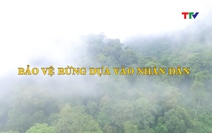 Học tập và làm theo tư tưởng, đạo đức, phong cách Hồ Chí Minh: Bảo vệ rừng dựa vào nhân dân