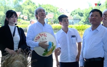 Thống đốc tỉnh Niigata, Nhật Bản tham quan di sản Văn hóa thế giới Thành Nhà Hồ