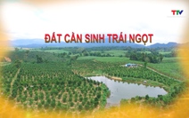 Ký sự miền sơn cước ngày 12/12/2025