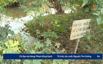 Hộp thư truyền hình ngày 08/12/2025