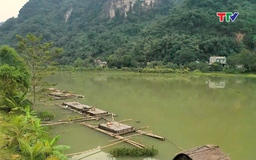 Nông dân xã Hạ Trung phát triển nghề nuôi cá lồng trên mặt nước lòng hồ Thủy điện Bá Thước 2