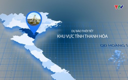 Video: Dự báo thời tiết khu vực tỉnh Thanh Hóa đêm 26, ngày 27/11