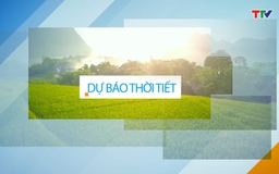 Video: Dự báo thời tiết khu vực tỉnh Thanh Hóa đêm 06/12, ngày 07/12