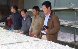 Chương trình OCOP thúc đẩy xây dựng thương hiệu cho nông sản Thanh Hóa