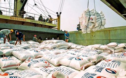Bộ Công Thương khuyến cáo doanh nghiệp thúc đẩy xuất khẩu gạo