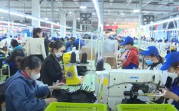 Các doanh nghiệp huyện Triệu Sơn ra quân sản xuất đầu năm