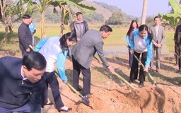 Hội liên hiệp Phụ nữ tỉnh Thanh Hóa hưởng ứng Tết trồng cây