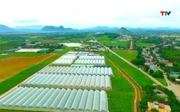 Thanh Hóa phát triển nông nghiệp thông minh
