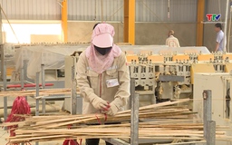 Ứng dụng công nghệ trong chế biến lâm sản