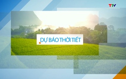 Video: Dự báo thời tiết khu vực tỉnh Thanh Hóa đêm 3/10, ngày 4/10/2023