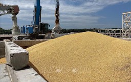 Ba Lan, Ukraine đạt thỏa thuận về trung chuyển ngũ cốc