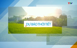 Video: Dự báo thời tiết khu vực tỉnh Thanh Hóa đêm 4/10, ngày 5/10/2023